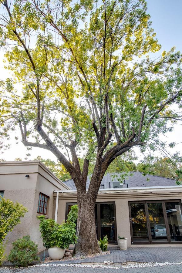 The Nightingale Guesthouse บลูมฟอนเทน ภายนอก รูปภาพ